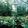 Image of Maze Moisture Sensing Automatic Drip Irrigation System