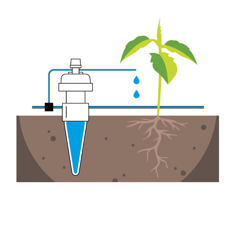 Maze Moisture Sensing Automatic Drip Irrigation System