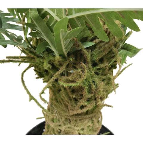 Artificial Fern Palm 150cm