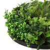 Image of Artificial Green Wall Disc Art 80cm Mixed Green Fern & Ivy - Black