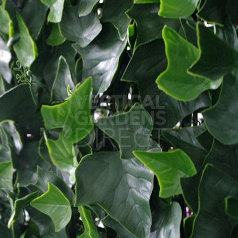 Artificial Ivy Leaf Vertical Garden SAMPLE PIECE