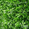 Image of Artificial Mondo Grass 1m x 1m Plant Wall Screening Panel UV Protected