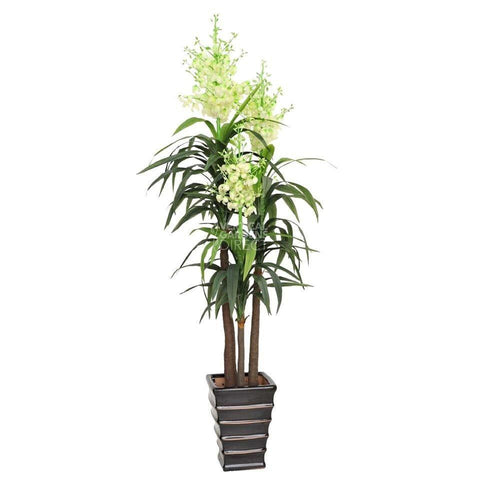 Artificial Sisal (Flowering Dracaena) With Multiple Heads 185cm