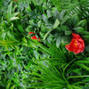 Image of Artificial Tropical Hibiscus Vertical Garden Sample