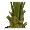 Image of Artificial Tropical Kentia Palm Tree 150cm