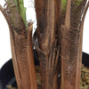 Image of Artificial Tropical Kentia Palm Tree 180cm