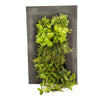 Image of GROVERT MICRO GARDEN WALL FRAME KIT - CHALKBOARD