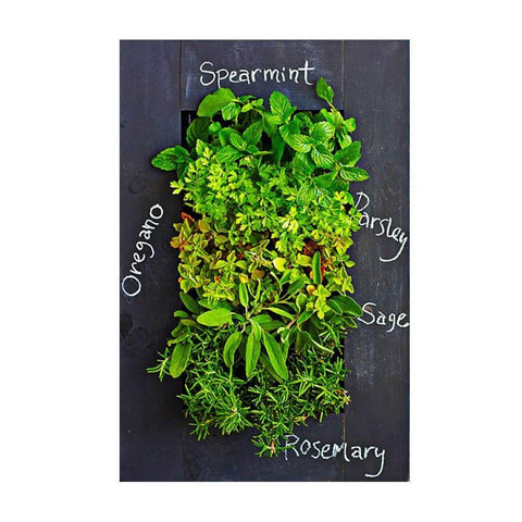 GROVERT MICRO GARDEN WALL FRAME KIT - CHALKBOARD