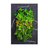 Image of GROVERT MICRO GARDEN WALL FRAME KIT - CHALKBOARD