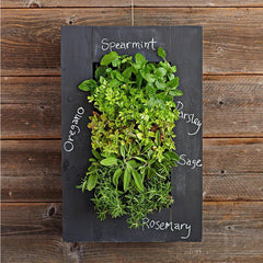 GROVERT MICRO GARDEN WALL FRAME KIT - CHALKBOARD