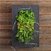 Image of GROVERT MICRO GARDEN WALL FRAME KIT - CHALKBOARD