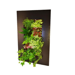 GROVERT MICRO GARDEN WALL FRAME KIT - CHARCOAL