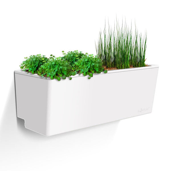 Glowpear Mini Wall – Vertical Gardens Direct