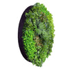 Image of Large Mixed Ivy and Philodendron Artificial Plant Wall Disc 150cm