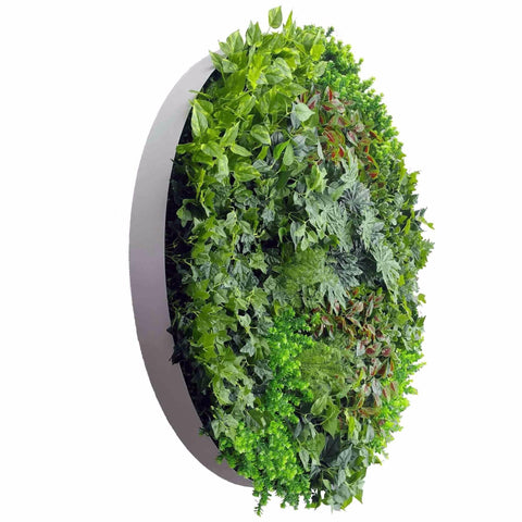 Large Mixed Ivy and Philodendron Artificial Plant Wall Disc 150cm