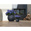 Image of Lechuza Puro 50 Self Watering Pot - 50cm