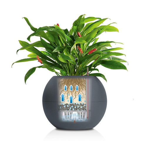 Lechuza Puro 50 Self Watering Pot - 50cm