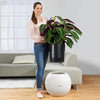 Image of Lechuza Puro 50 Self Watering Pot - 50cm