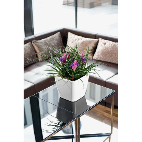 Lechuza Quadro LS 43 Self Watering Pot - 43cm