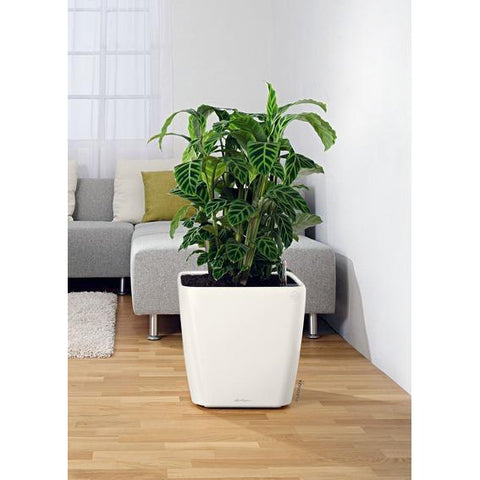 Lechuza Quadro LS 43 Self Watering Pot - 43cm