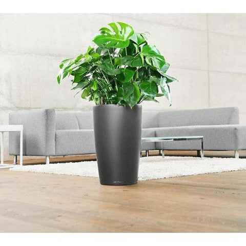 Lechuza Rondo 40 Self Watering Pot - 40cm