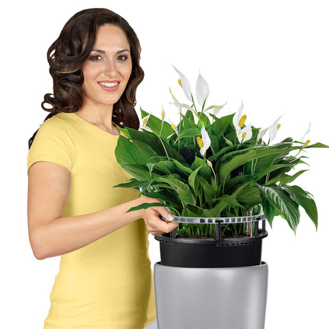 Lechuza Rondo 40 Self Watering Pot - 40cm