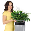 Image of Lechuza Rondo 40 Self Watering Pot - 40cm