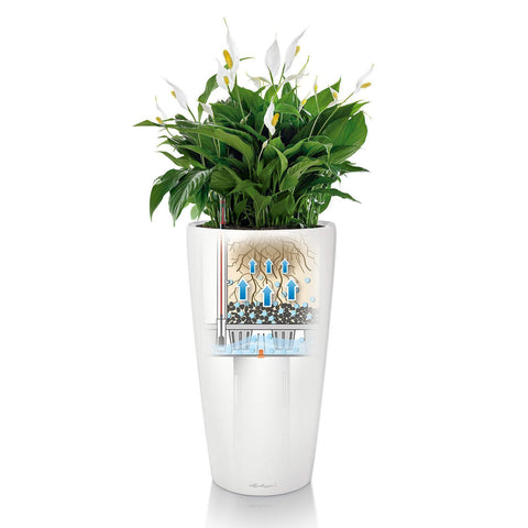 Lechuza Rondo 40 Self Watering Pot - 40cm