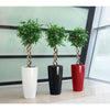 Image of Lechuza Rondo 40 Self Watering Pot - 40cm