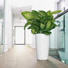 Image of Lechuza Rondo 40 Self Watering Pot - 40cm