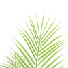 Image of Artificial Modern Bushy Areca Fern Tree 120cm