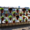 Image of REOGRO 'VERTIGO' TERRACOTTA POT VERTICAL GARDEN