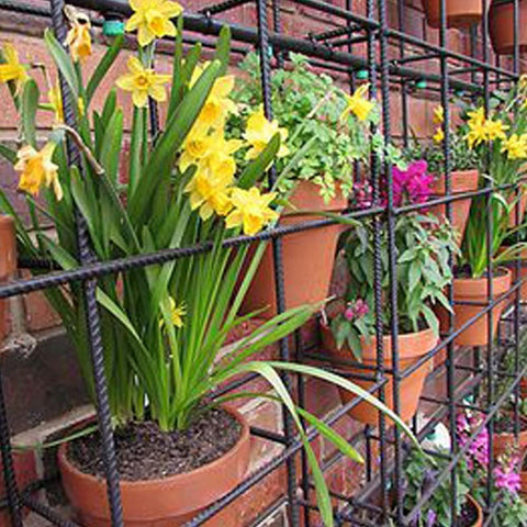 REOGRO 'VERTIGO' TERRACOTTA POT VERTICAL GARDEN