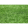 Image of Synthetic Grass 5sqm Roll-8mm